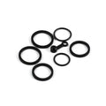 Hope V4 caliper seal kit, including piston seals, bore cap o-rings and bleed nipple cap.
