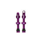 Hope Tubeless  Valves (Pair) - 40mm